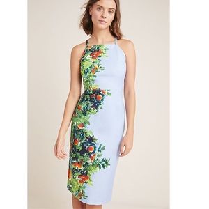 Anthropologie Prong Bough Dress S 4